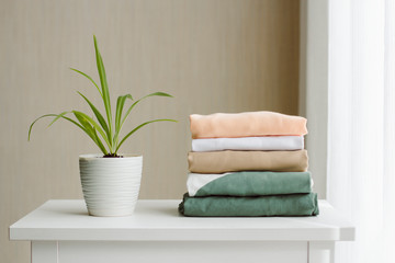 Fototapeta na wymiar cleanliness and order on the white dresser: a neat stack of clothes and a small well-groomed green houseplant Chlorophytum