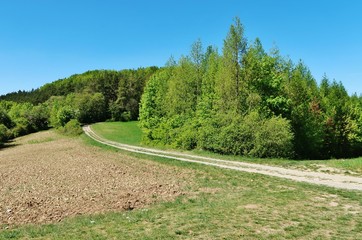 Wandern durch Wald und Flur