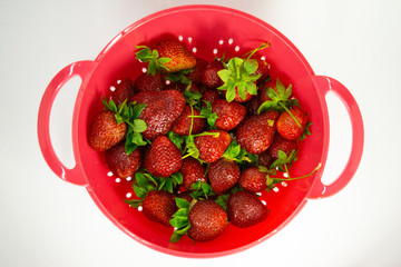 Fresh and Red Strawberries on White Background