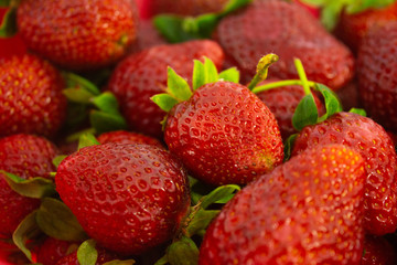 Fresh and Red Strawberries on White Background