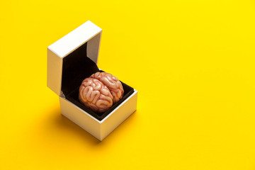 Smart human brain in box is isolated on yellow background as gift to dumb person. Mental development, self-improvement or problems.