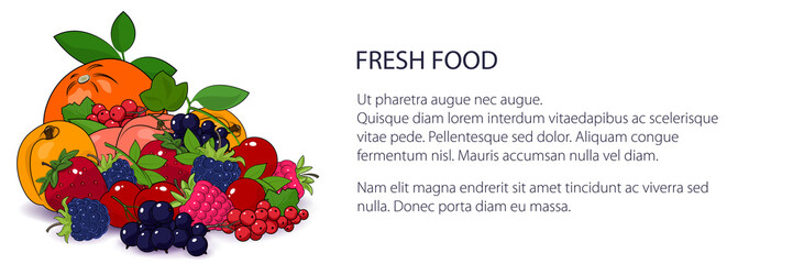 Banner with juicy summer berries and fruits , natural organic and healthy food concept, fresh eco fruits, vector illustration