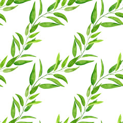 Watercolor hand drawn seamless pattern with abstract eucalyptus green leaves lines isolated on white background. Greenery stripes print for summer design, textil, wrapping paper etc.