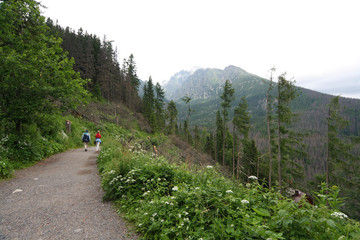 Fototapeta na wymiar The route to the Teryego Cottage in the Slovak Tatras