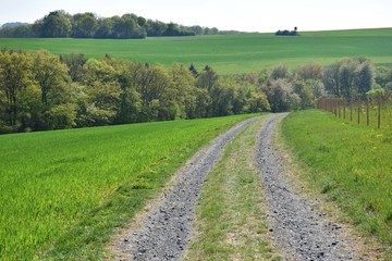 Path in the countryside in Eifel mountains Germany