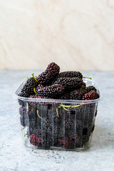 Fototapeta na wymiar Organic Dark Black Ripe Mulberries in Plastic Box Package for Sale / Morus Fruit.