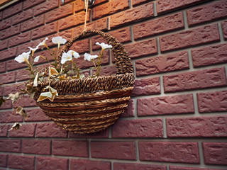Wicker flower pot with white flowers on a brick wall