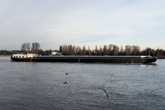 vogel am fluss. schiff. Vergn&uuml;gungsschiff. Lastkahn.