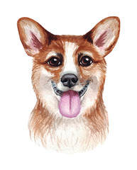 Watercolor illustration of a funny dog. Popular dog breed. Dog. Welsh Corgi. Hand made character isolated on white