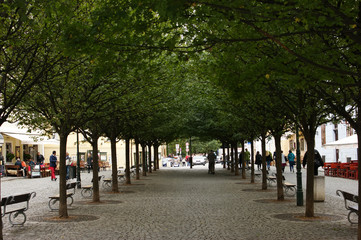 street in the city