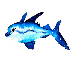 Watercolor blue fish. illustrations in simple realistic style for your design and print.