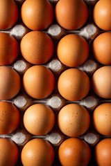 Brown chicken eggs