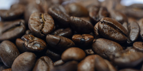 coffee beans close up