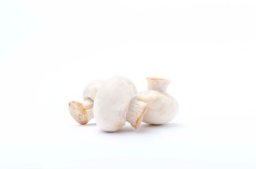 Three edible champignon mushrooms on the white background