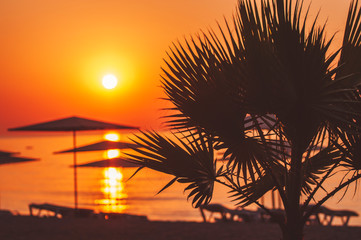 Obraz premium sunset on the beach