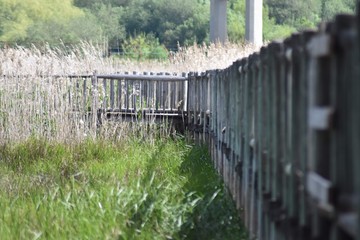 wood fence