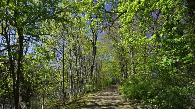 Spring Impressions from Citadel Park in Berlin Spandau from April 22, 2020, Germany
