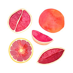 Hand drawn watercolor set of elements with citruses isolated on a white background. A whole grapefruit and its half, quarter, half and a slice of Sicilian or red orange.
