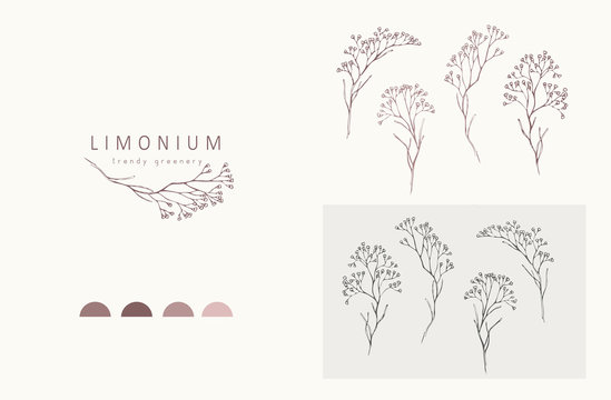 Limonium, Babys Breath Logo And Branch Logo And Branch. Hand Drawn Wedding Herb, Plant And Monogram With Elegant Leaves For Invitation Save The Date Card Design. Botanical Rustic Trendy Greenery