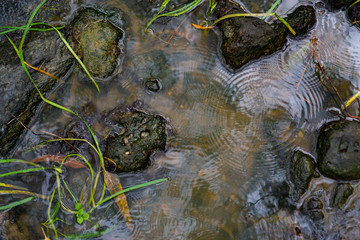 Rippling water on river with rocks around