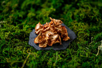 Board with dried chanterelles mushroom on green grass russian cuisine