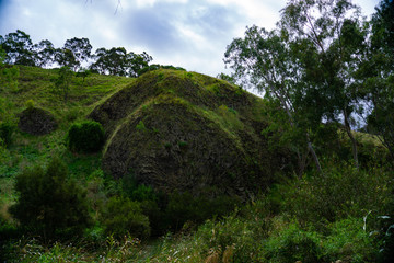 Strange shaped hill with wild plants and trees