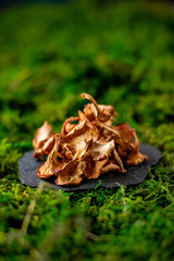 Board with dried chanterelles mushroom on green grass russian cuisine