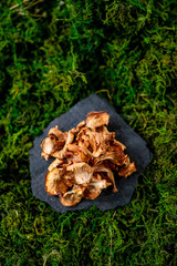 Board with dried chanterelles mushroom on green grass russian cuisine