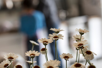 small vase of daisies on the table in the kitchen