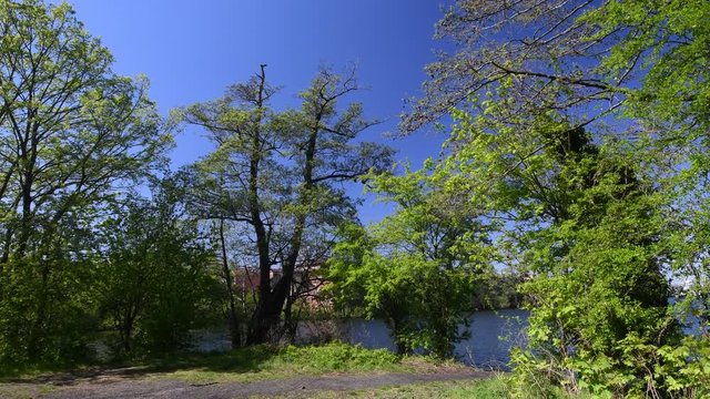Spring Impressions from Citadel Park in Berlin Spandau from April 22, 2020, Germany