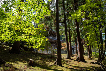 Suburb of japan After the epidemic crisis COVID-19,or Corona Viruses.