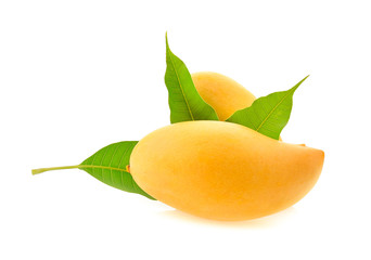 Ripe mango on white background