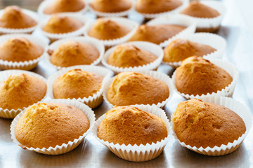 Homemade muffins on oven tray. Delicious pastries for dessert
