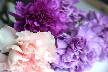 charming bouquet of carnations in lilac tones