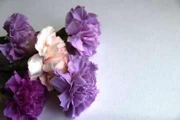 charming bouquet of multi colored carnations in lilac tones on a gray background