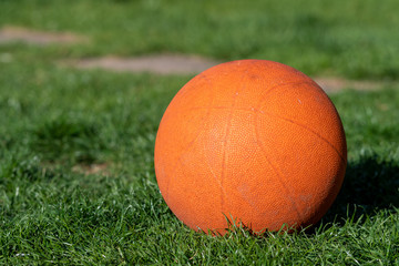 basketball on green grass orange