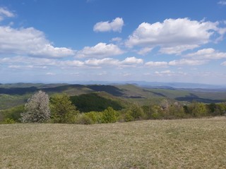 landscape with blue sky