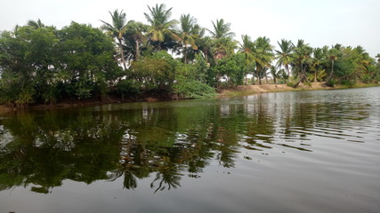 lake in the park