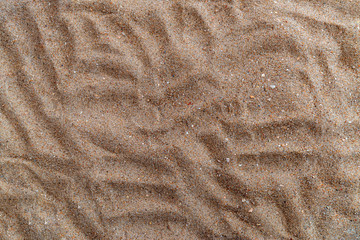Beautiful Sahara desert. Sand texture, there is a place for text.