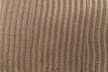 Beautiful Sahara desert. Sand texture, there is a place for text.