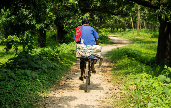 Man riding bicycle in a mango garden