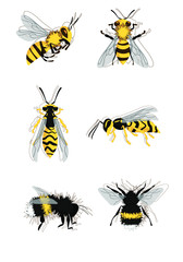 wasp bees bumblebee flat illustration set