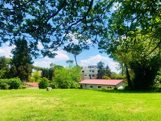 Obraz premium scenic landscape view from trees 