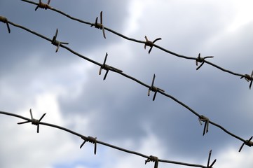 Barbed wire against the dark sky. entry ban