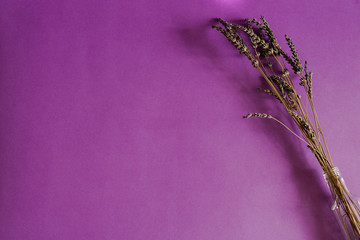 Bouquet of purple lavender flowers on a purple background top view.
Copy space. Concept of minimal background. Place for text.
Image for business card or menu. Dry flower in a vase on a business card.