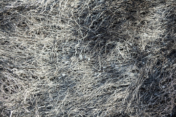 Burnt grass