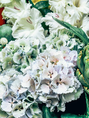 Hydrangea flowers on french market