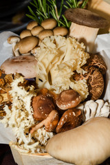 Mushrooms for sale. Local autumn produce