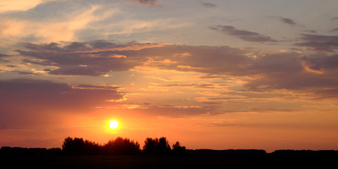 The sun sets over the horizon. Silhouettes of trees on sunset sky background. Colorful clouds.