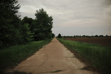 Old cracked asphalt road. A long straight road among fields and trees.